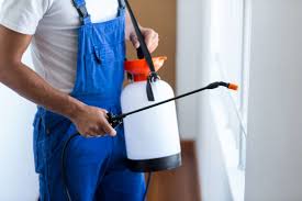 Emergency Pest Control Services in Amboy, IL